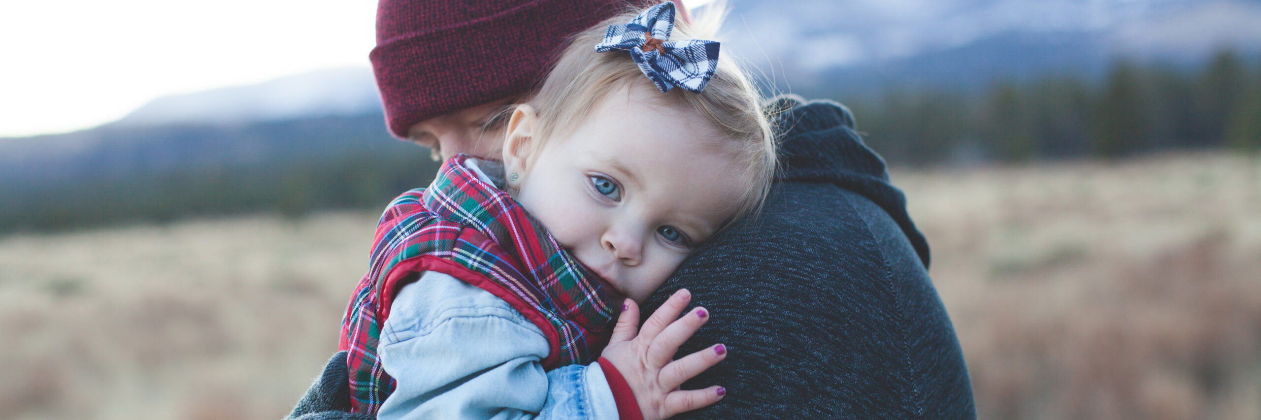 An overview of joint custody